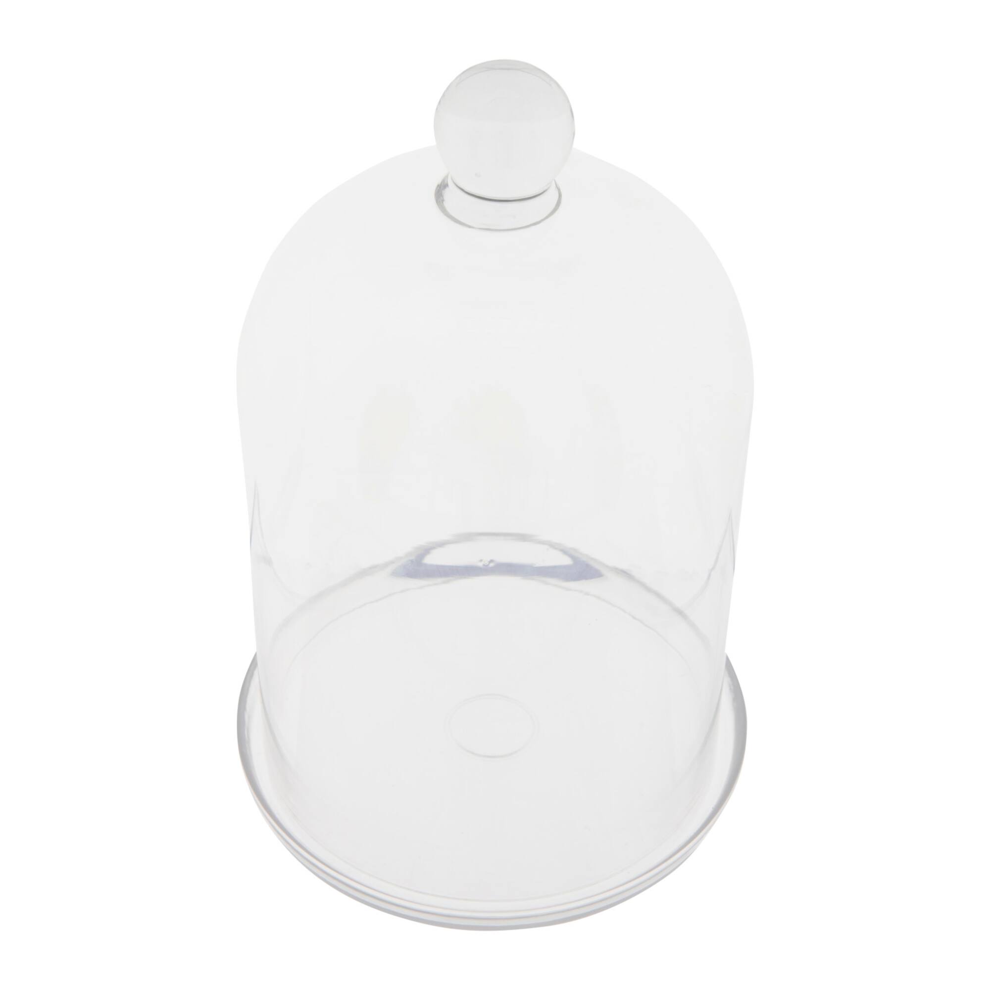 Hello Honey® Glass Cloche with Clear Glass Plate Set